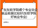 广东东软学院哪个专业毕业就业前景比较好(东软学院好就业专业)