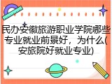 民办安徽旅游职业学院哪些专业就业前景好，为什么(安旅院好就业专业)