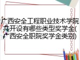 广西安全工程职业技术学院共开设有哪些类型奖学金(广西安全职院奖学金类别)