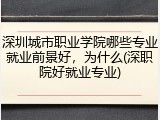 深圳城市职业学院哪些专业就业前景好，为什么(深职院好就业专业)