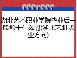 湖北艺术职业学院毕业后一般能干什么呢(湖北艺职就业方向)