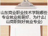 山东商业职业技术学院哪些专业就业前景好，为什么(山商职院好就业专业)