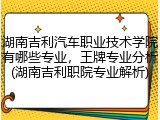 湖南吉利汽车职业技术学院有哪些专业，王牌专业分析(湖南吉利职院专业解析)