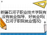 新疆石河子职业技术学院有没有就业指导，好就业吗(石河子职院就业情况)