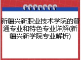 新疆兴新职业技术学院的普通专业和特色专业详解(新疆兴新学院专业解析)