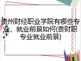 贵州财经职业学院有哪些专业，就业前景如何(贵财职专业就业前景)