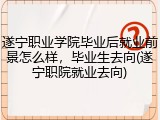 遂宁职业学院毕业后就业前景怎么样，毕业生去向(遂宁职院就业去向)