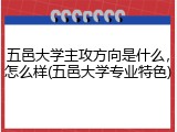 五邑大学主攻方向是什么，怎么样(五邑大学专业特色)