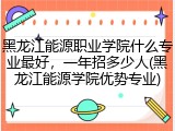 黑龙江能源职业学院什么专业最好，一年招多少人(黑龙江能源学院优势专业)