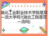 湖北工业职业技术学院是双一流大学吗?(湖北工院是双一流吗)