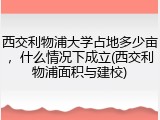 西交利物浦大学占地多少亩，什么情况下成立(西交利物浦面积与建校)