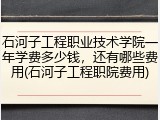 石河子工程职业技术学院一年学费多少钱，还有哪些费用(石河子工程职院费用)