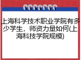 上海科学技术职业学院有多少学生，师资力量如何(上海科技学院规模)
