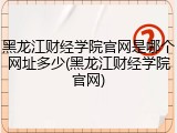 黑龙江财经学院官网是哪个网址多少(黑龙江财经学院官网)