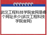 武汉工程科技学院官网是哪个网址多少(武汉工程科技学院官网)