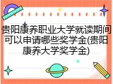 贵阳康养职业大学就读期间可以申请哪些奖学金(贵阳康养大学奖学金)