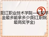 阳江职业技术学院一年奖学金最多能拿多少(阳江职院最高奖学金)