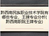 黔西南民族职业技术学院有哪些专业，王牌专业分析(黔西南职院王牌专业)