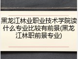 黑龙江林业职业技术学院读什么专业比较有前景(黑龙江林职前景专业)