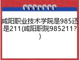 咸阳职业技术学院是985还是211(咸阳职院985211？)