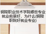 铜陵职业技术学院哪些专业就业前景好，为什么(铜陵职院好就业专业)