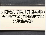 沈阳城市学院共开设有哪些类型奖学金(沈阳城市学院奖学金类别)
