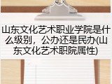 山东文化艺术职业学院是什么级别，公办还是民办(山东文化艺术职院属性)