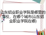 山东铝业职业学院是哪里的学校，在哪个城市(山东铝业职业学院在哪)