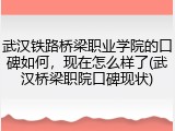 武汉铁路桥梁职业学院的口碑如何，现在怎么样了(武汉桥梁职院口碑现状)