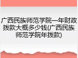 广西民族师范学院一年财政拨款大概多少钱(广西民族师范学院年拨款)