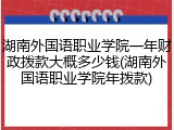 湖南外国语职业学院一年财政拨款大概多少钱(湖南外国语职业学院年拨款)
