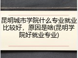 昆明城市学院什么专业就业比较好，原因是啥(昆明学院好就业专业)