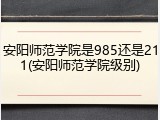 安阳师范学院是985还是211(安阳师范学院级别)