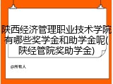 陕西经济管理职业技术学院有哪些奖学金和助学金呢(陕经管院奖助学金)