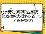 北京劳动保障职业学院一年财政拨款大概多少钱(北京劳职院拨款)