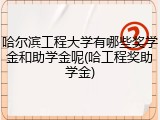 哈尔滨工程大学有哪些奖学金和助学金呢(哈工程奖助学金)