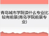 青岛城市学院读什么专业比较有前景(青岛学院前景专业)