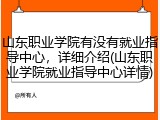 山东职业学院有没有就业指导中心，详细介绍(山东职业学院就业指导中心详情)