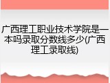 广西理工职业技术学院是一本吗录取分数线多少(广西理工录取线)