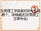 东莞理工学院最好的专业是哪个，详细阐述(东莞理工王牌专业)