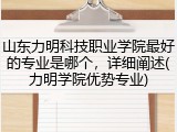 山东力明科技职业学院最好的专业是哪个，详细阐述(力明学院优势专业)