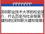 深圳职业技术大学的校史简介，什么历史与社会背景下建校的(深圳职大建校背景)