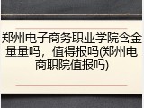 郑州电子商务职业学院含金量量吗，值得报吗(郑州电商职院值报吗)