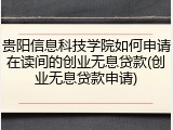 贵阳信息科技学院如何申请在读间的创业无息贷款(创业无息贷款申请)