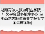 湖南高尔夫旅游职业学院一年奖学金最多能拿多少(湖南高尔夫旅游职业学院奖学金最高金额)