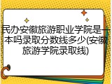 民办安徽旅游职业学院是一本吗录取分数线多少(安徽旅游学院录取线)