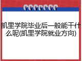凯里学院毕业后一般能干什么呢(凯里学院就业方向)
