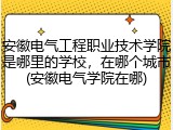 安徽电气工程职业技术学院是哪里的学校，在哪个城市(安徽电气学院在哪)