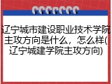 辽宁城市建设职业技术学院主攻方向是什么，怎么样(辽宁城建学院主攻方向)