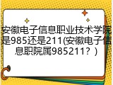 安徽电子信息职业技术学院是985还是211(安徽电子信息职院属985211？)